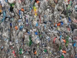 plastic bottles being recycled into food ingredients