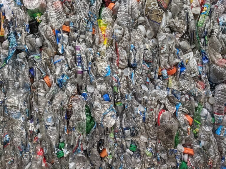 plastic bottles being recycled into food ingredients