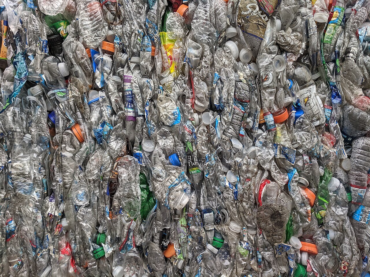 plastic bottles being recycled into food ingredients