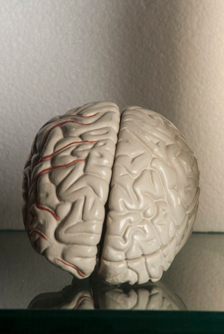 brain cells neurons - Alzheimers genome research