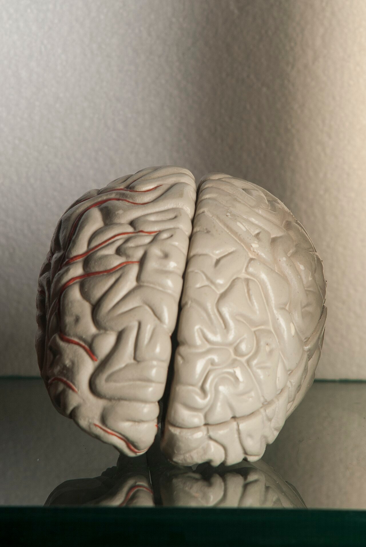 brain cells neurons - Alzheimers genome research