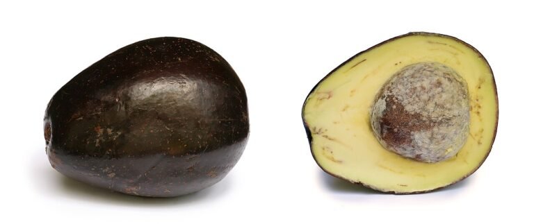 keto vs Mediterranean diet - avocado on a keto plate