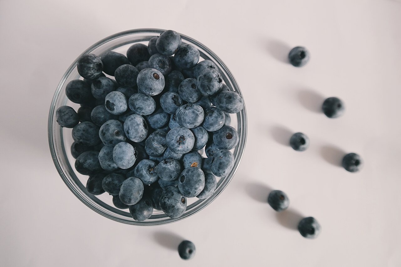 pterostilbene fat burning research - bowl of blueberries