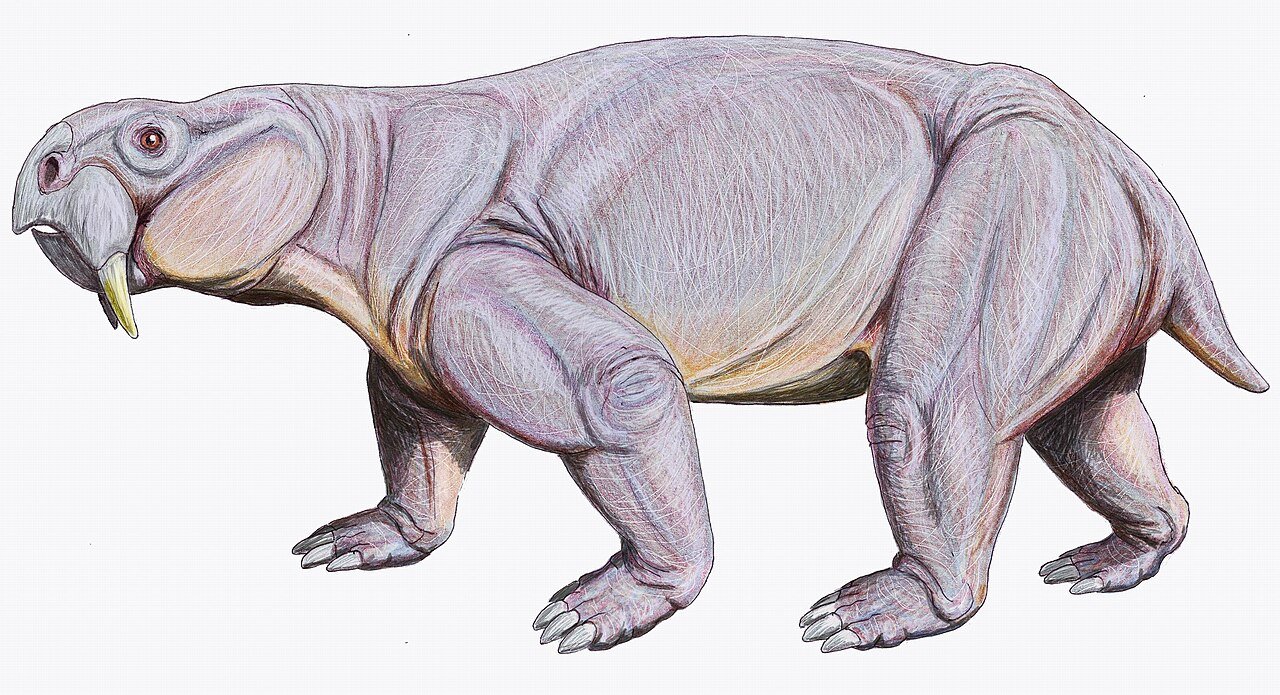 Life restoration of the Triassic dicynodont Dinodontosaurus