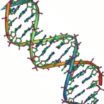 AI genetic switch DNA - double helix illustration