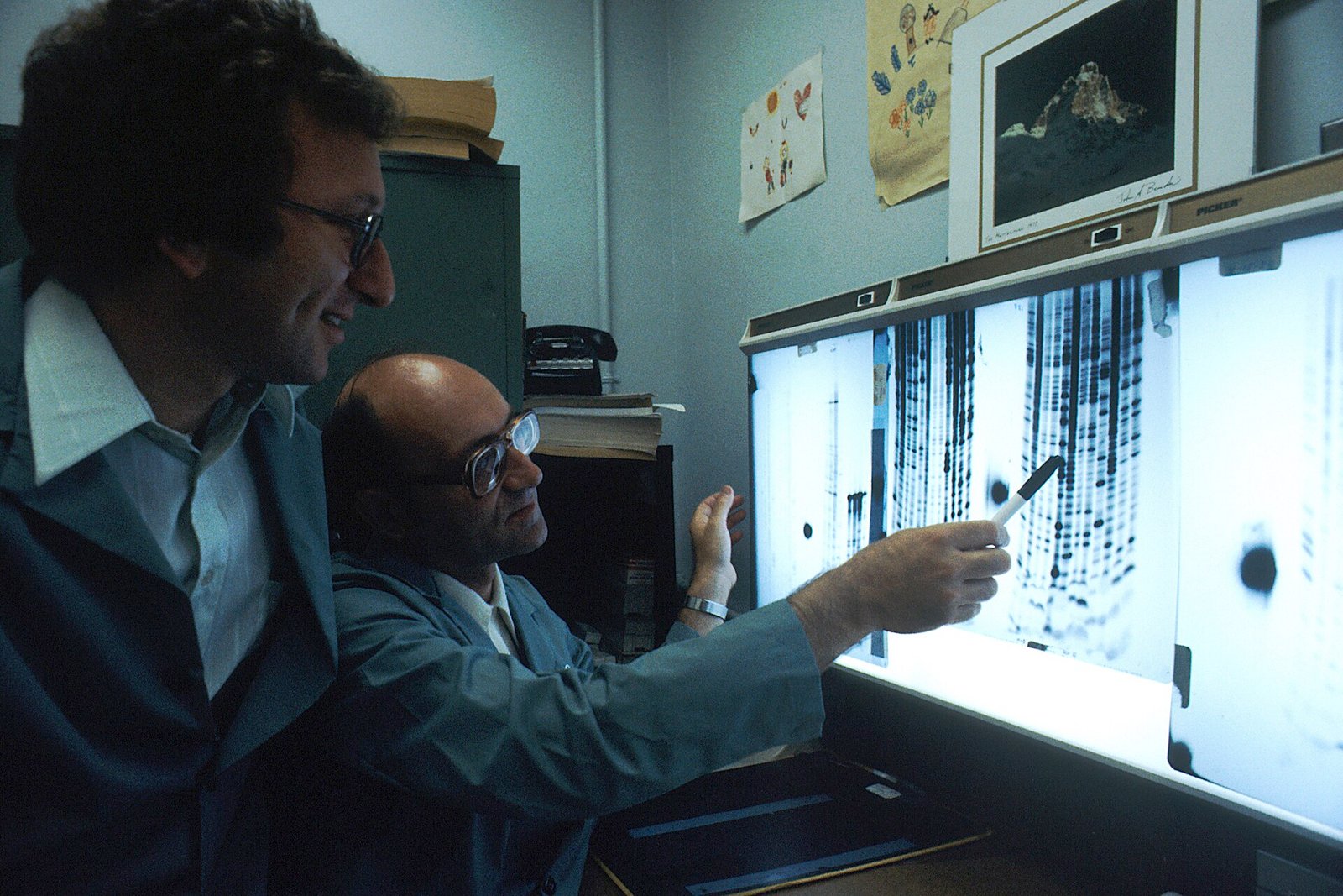 Researcher reading a DNA sequencing gel