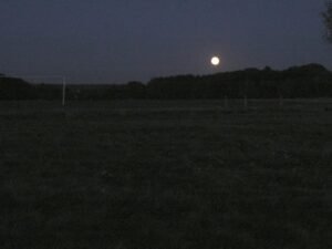 September night sky - Harvest Moon rising over the horizon