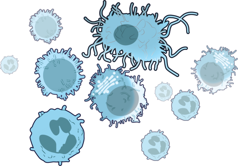 CAR T-cell arthritis remission - immune cells illustration
