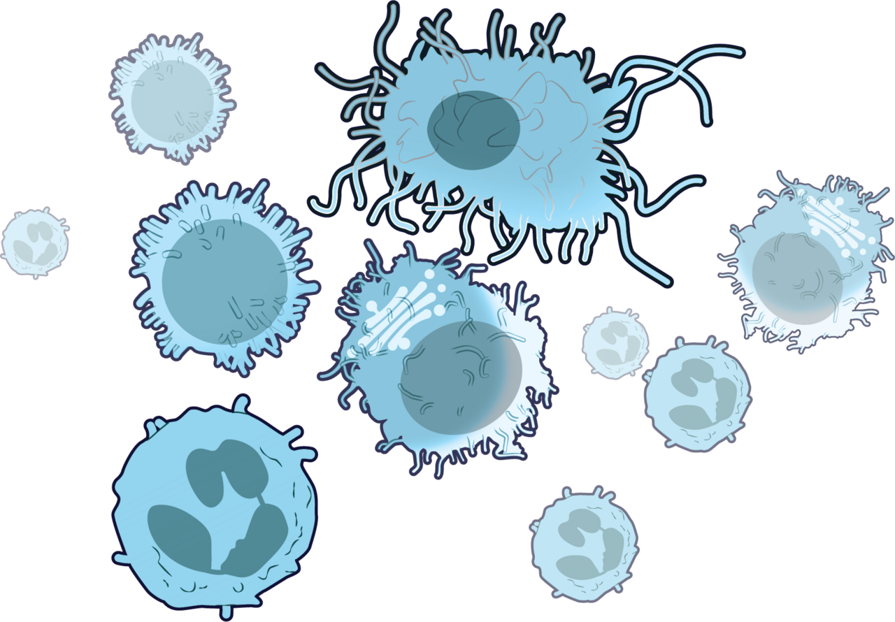 CAR T-cell arthritis remission - immune cells illustration