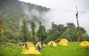 Yellow tents at a green campsite, a short holiday close to nature