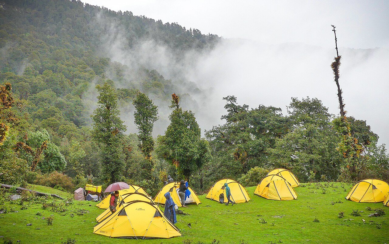 Yellow tents at a green campsite, a short holiday close to nature