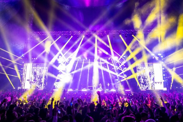 Concert crowd under purple and yellow stage lights